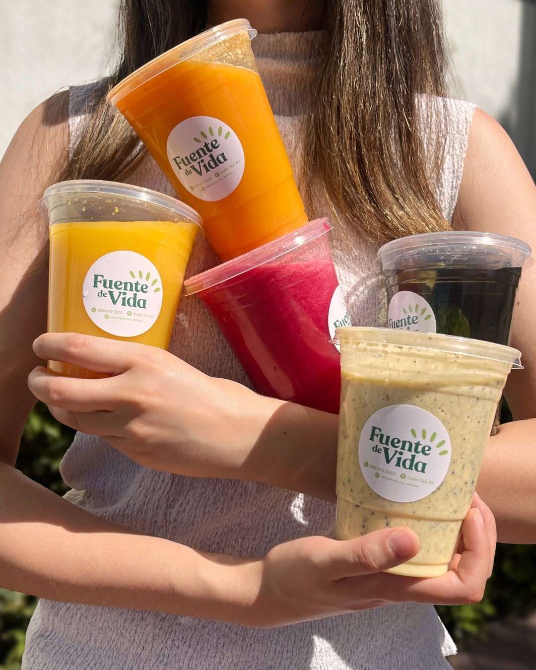 Jugos Fuente de Vida